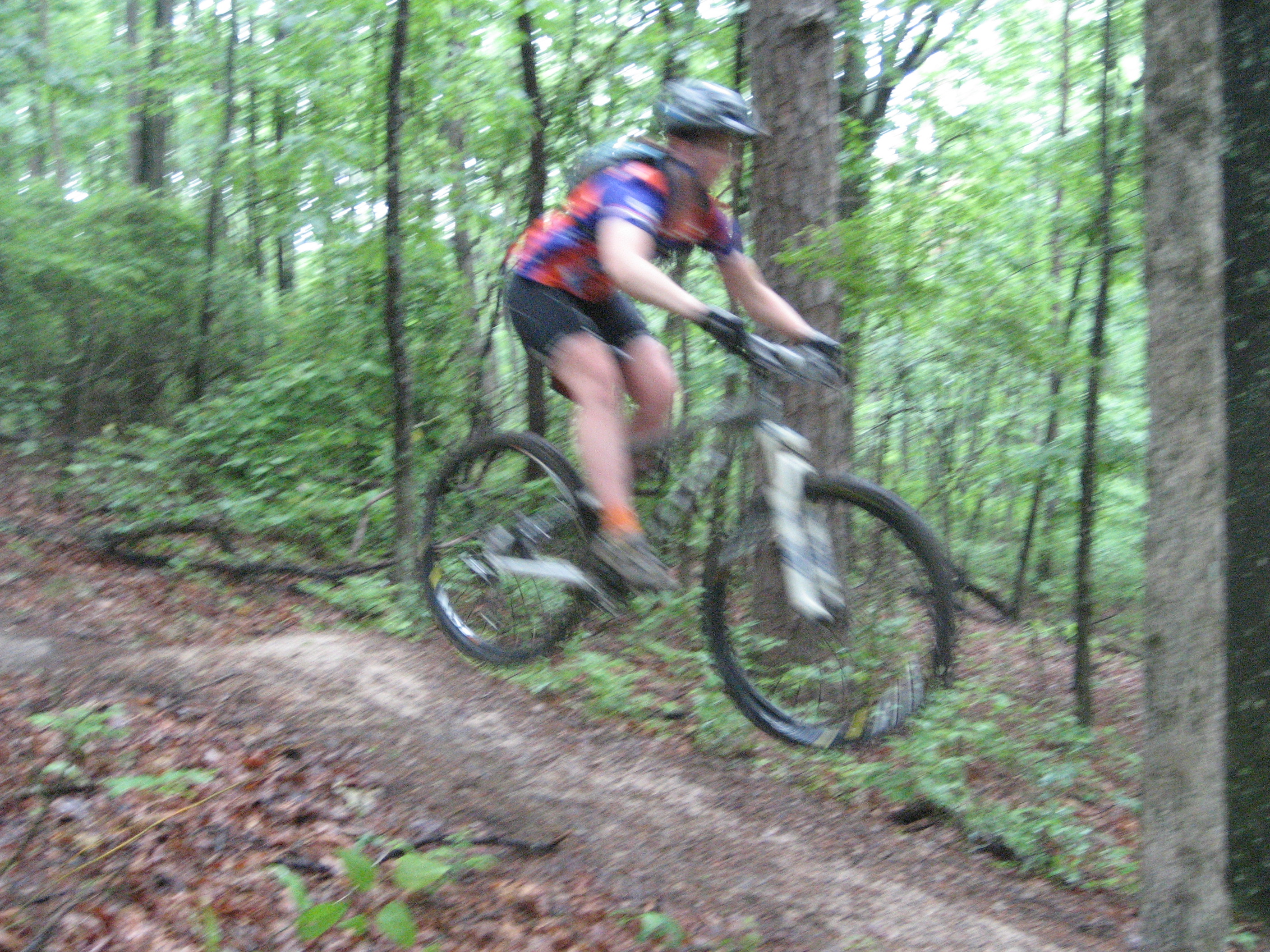 IMG_3420.JPG