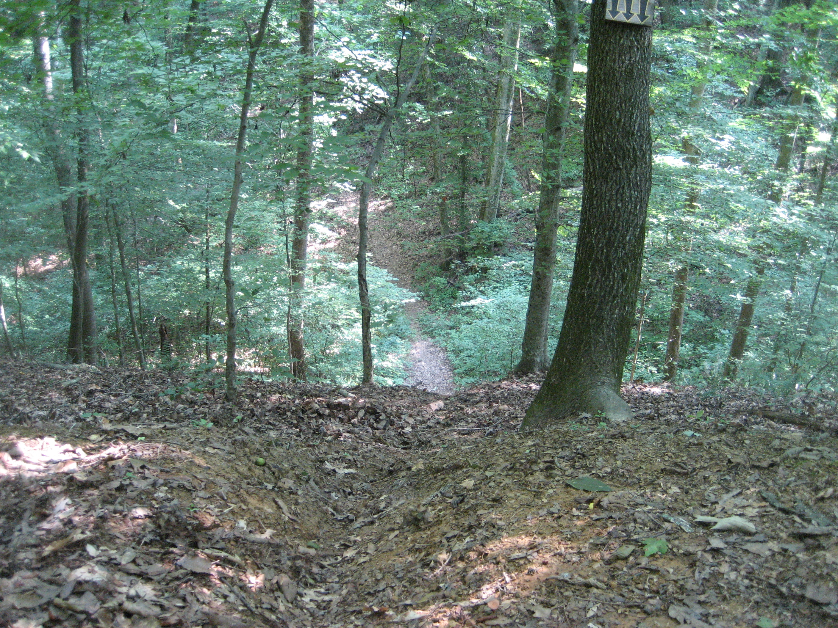 IMG_3661.JPG