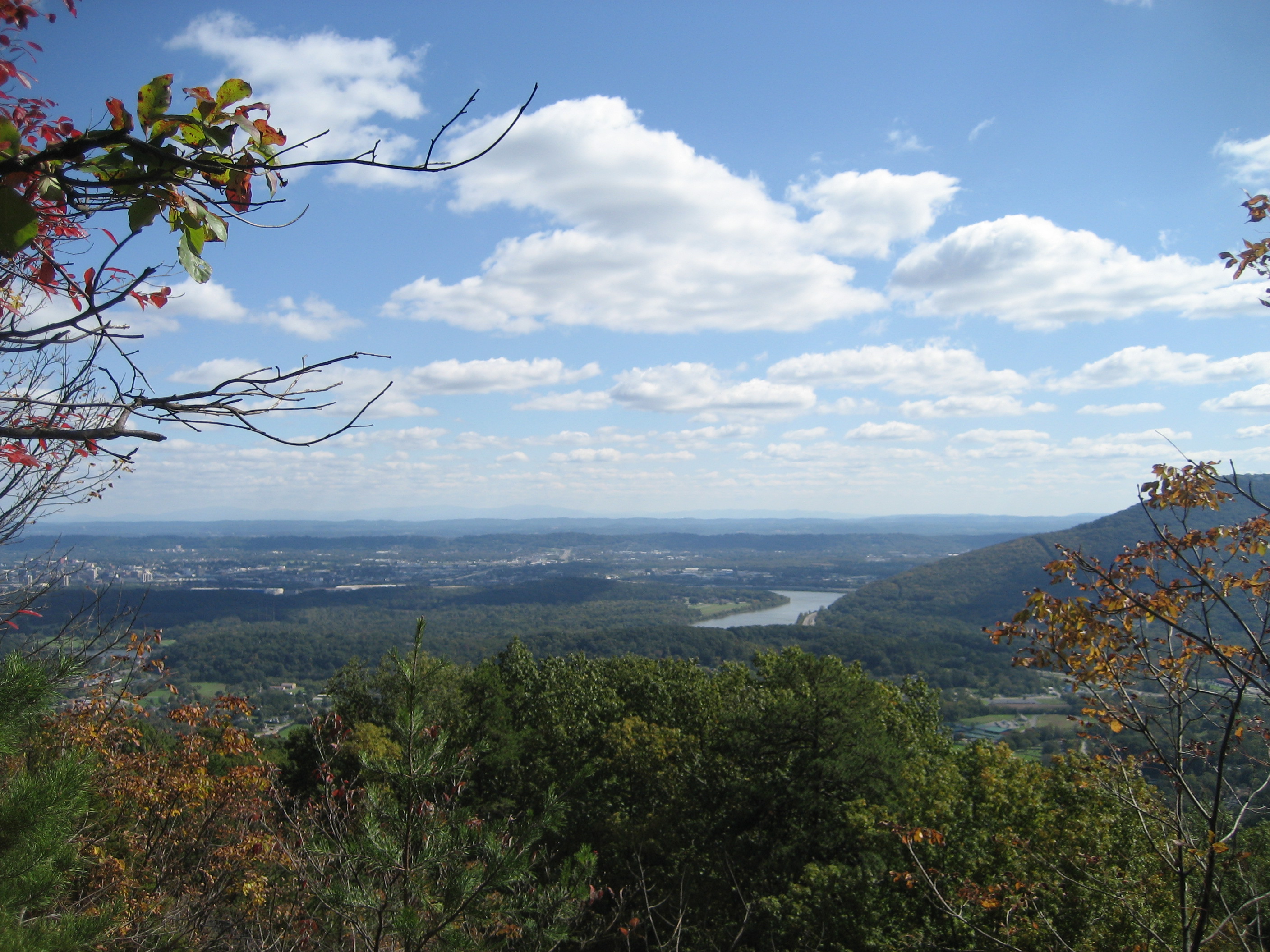IMG_4811.JPG