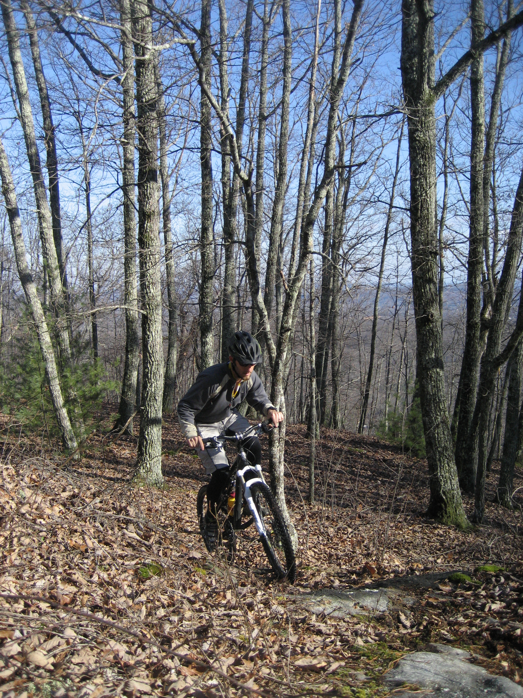 IMG_5309.JPG