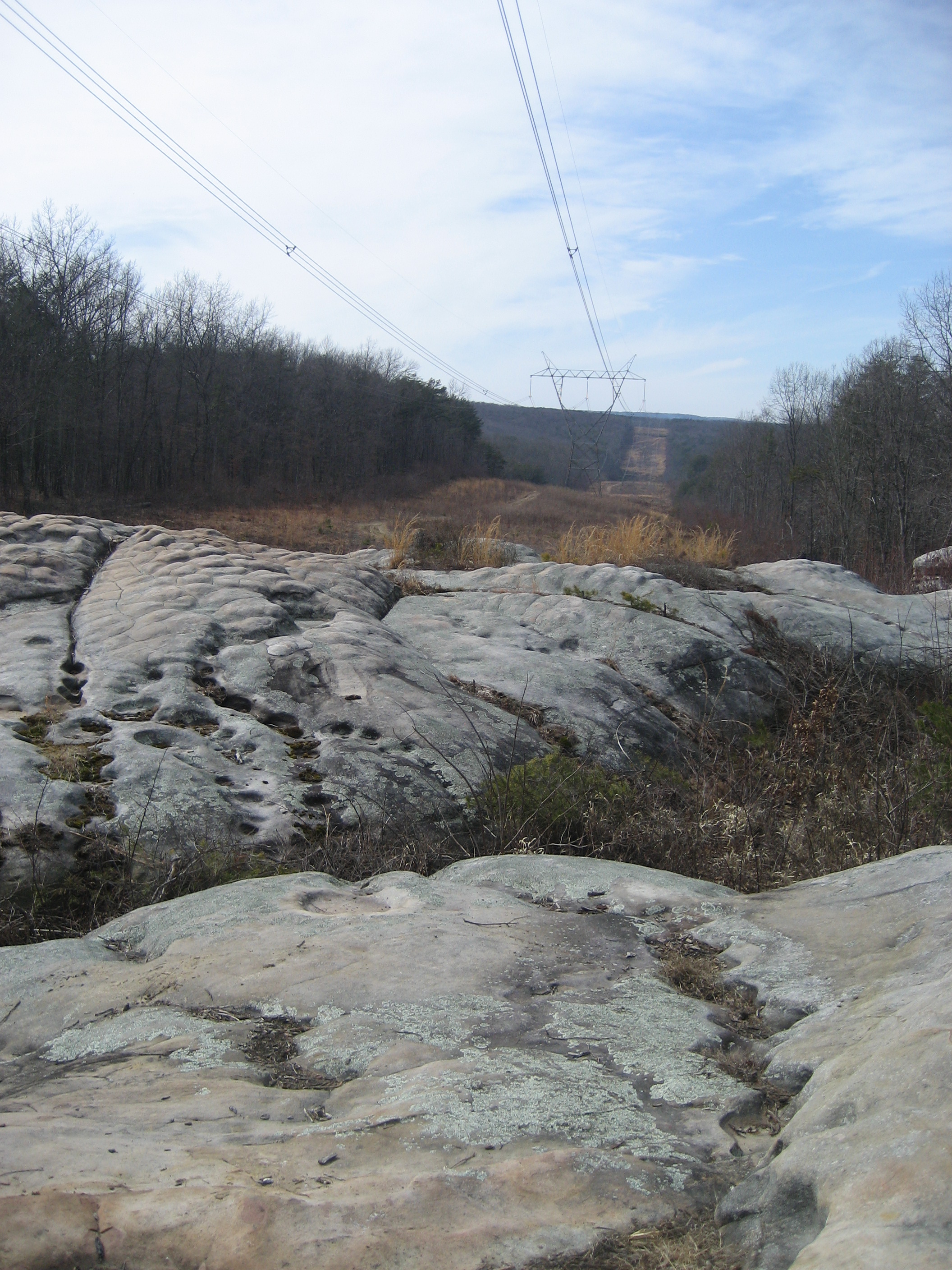 IMG_5569.JPG