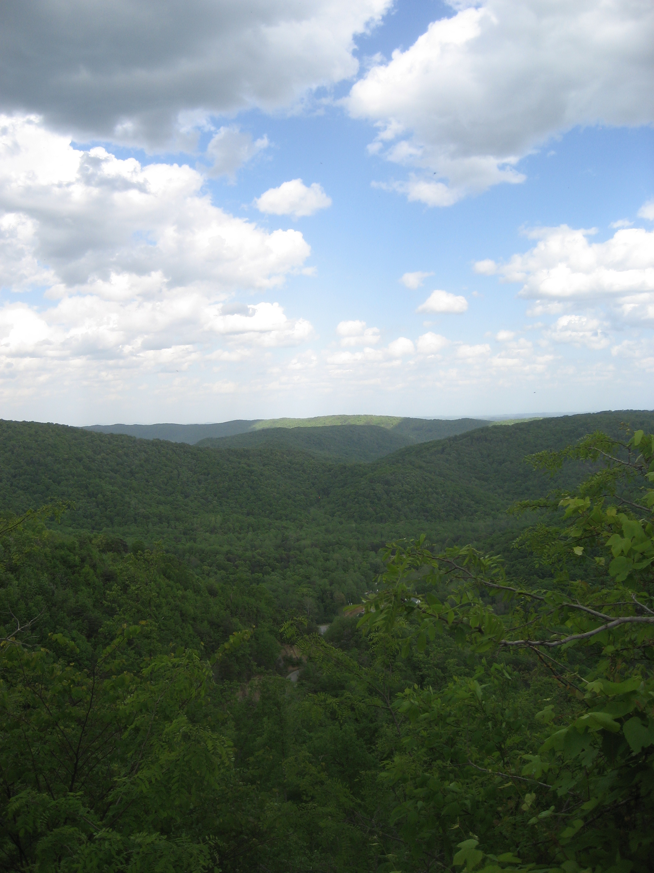 IMG_5912.JPG