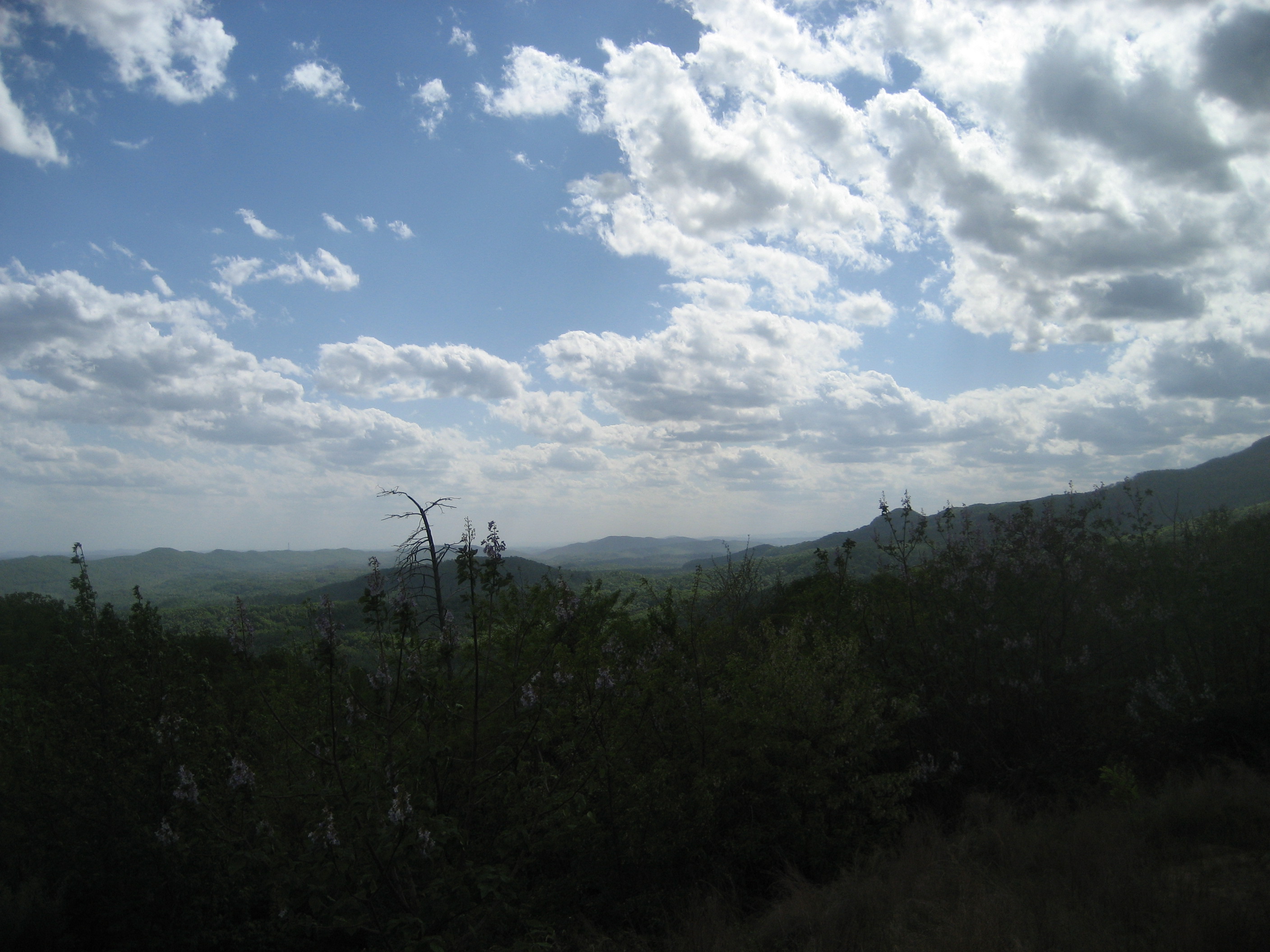 IMG_5908.JPG